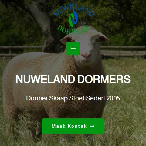Nuweland Web Design